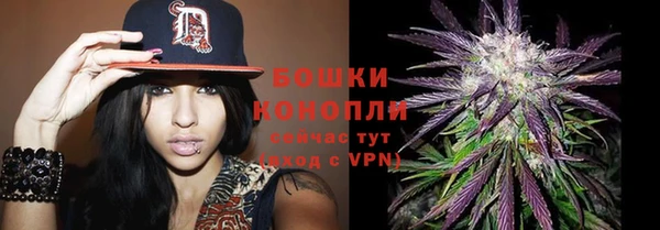 PSILOCYBIN Бородино